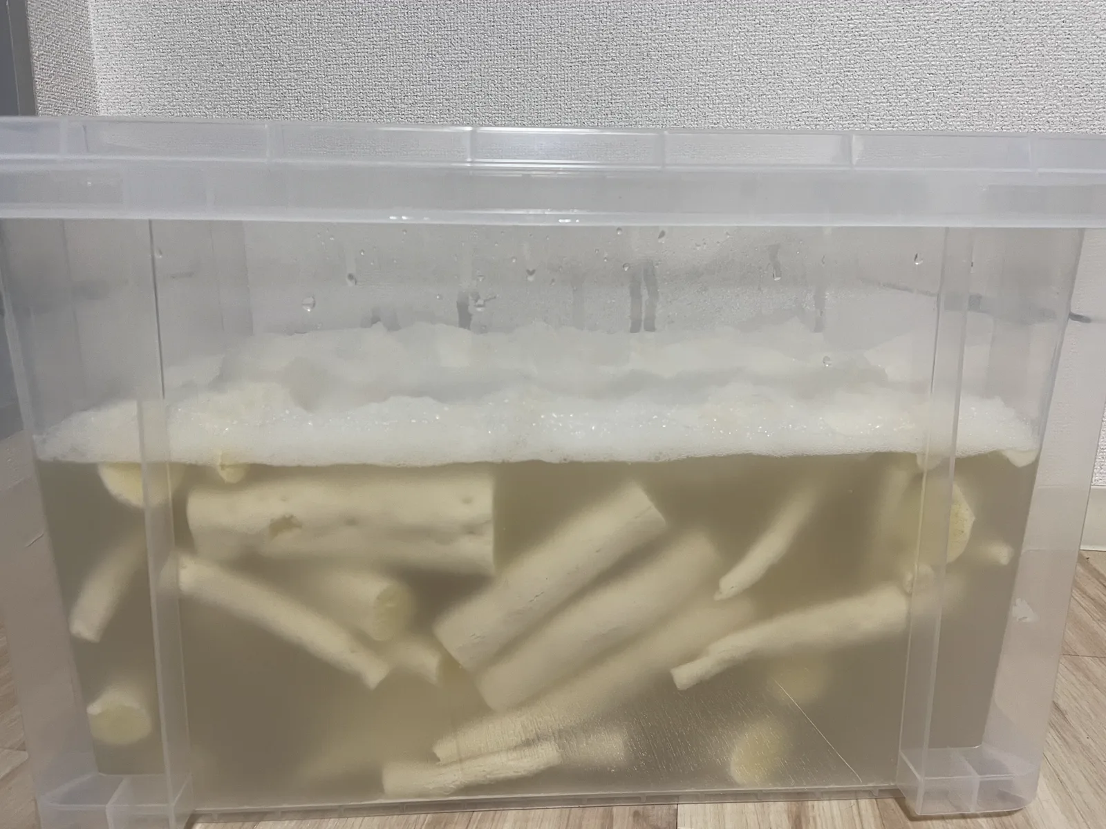 水に漬けて2日目、泡が出始めたキャッサバ